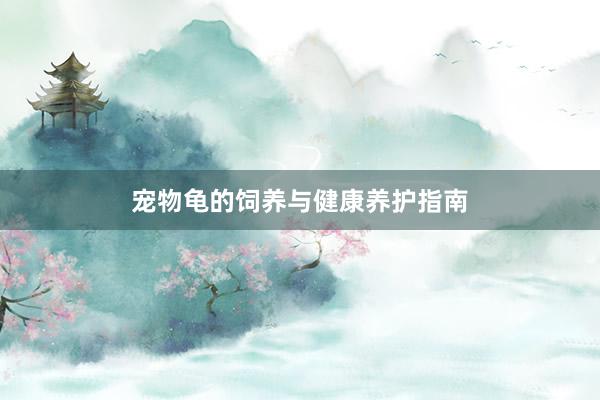 宠物龟的饲养与健康养护指南